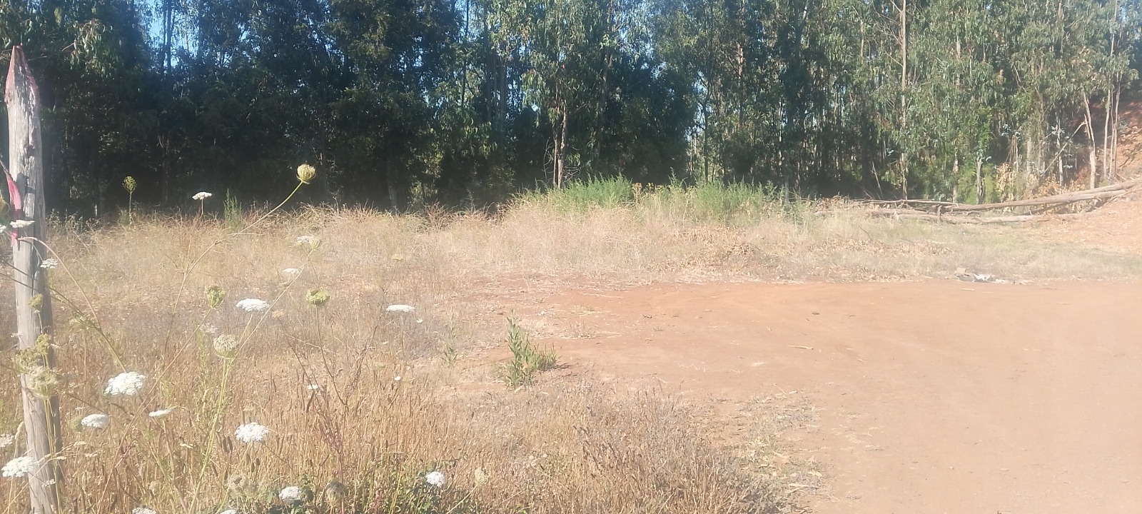 Terreno Frutillares Norte, Tomé | 1.221 m² | Acceso por Vicente Palacios