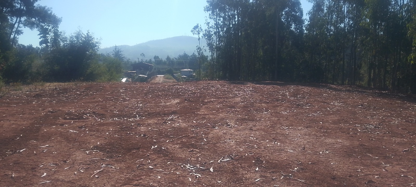 Venta Terreno 3.020 m2 en Frutillares Norte, Tomé