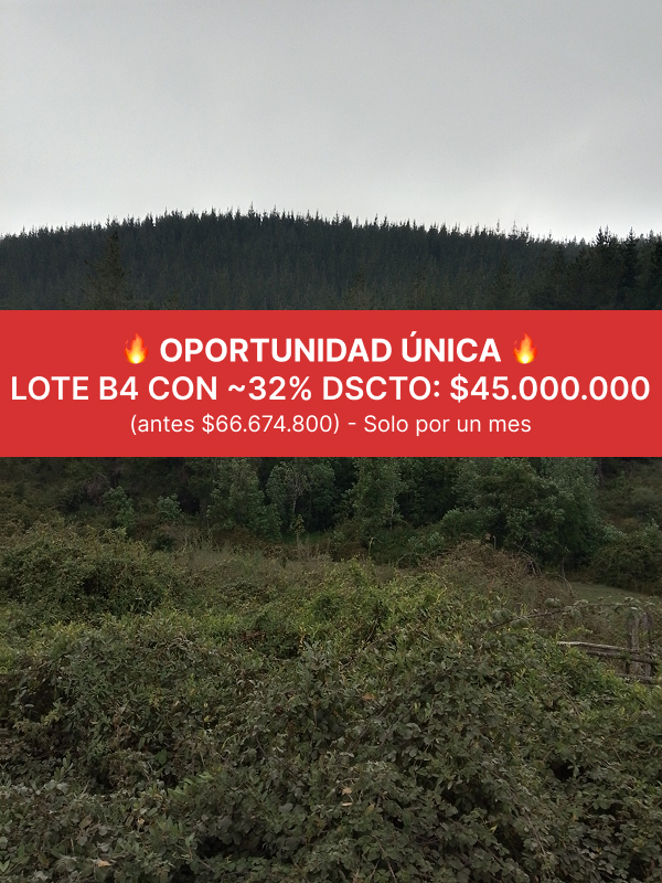 [Lote B4 en REBAJA] Terrenos con Estero y Bosque Nativo en Tomé | Sector Mirador, 10 minutos de Playa Pudá